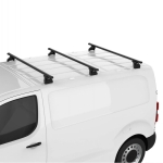 3x belki CRUZ Cargo Xpro.jpg