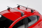 Belki dachowe Peugeot 607.jpg