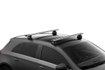 Thule 7107.jpg