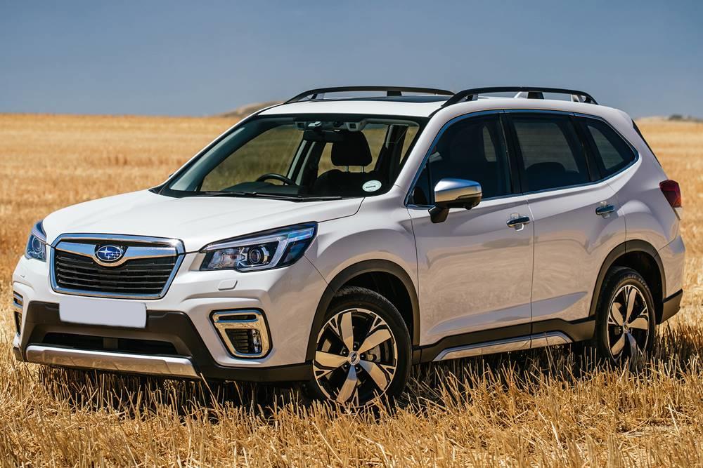 Forester IV